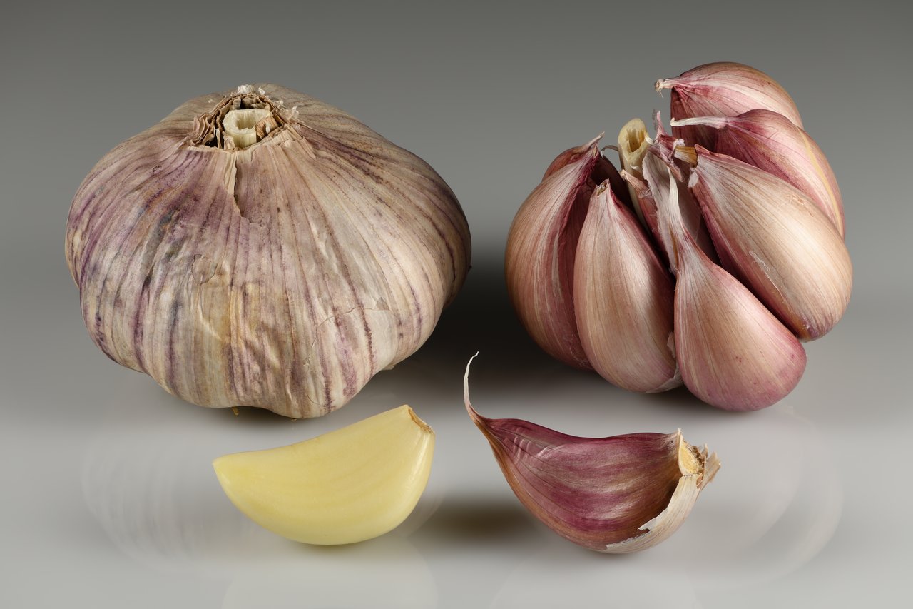 Purple-striped garlic bulbs with peeled and unpeeled cloves on a gray surface
