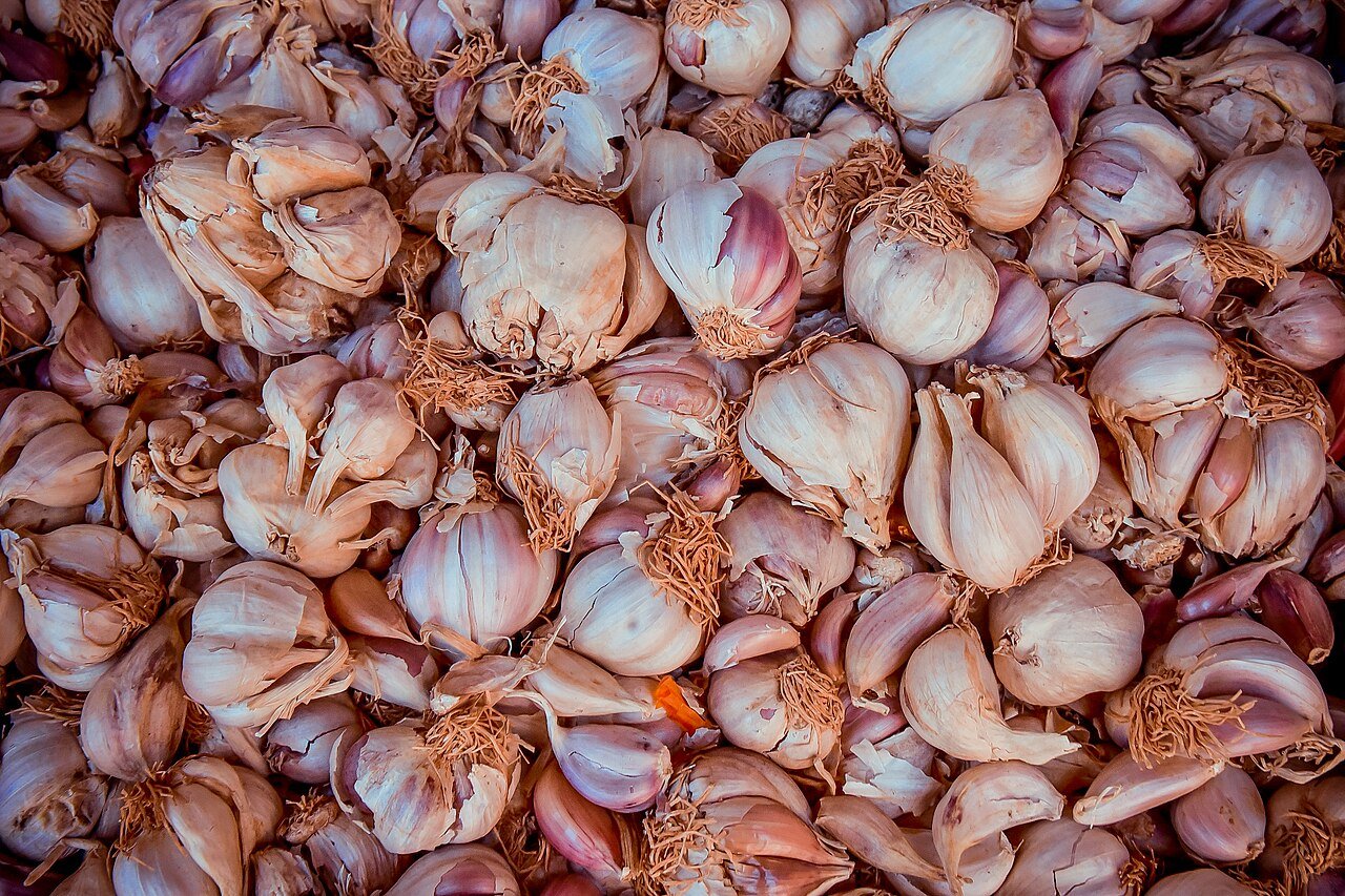 Dense pile of white and purple-streaked garlic bulbs and cloves filling the frame