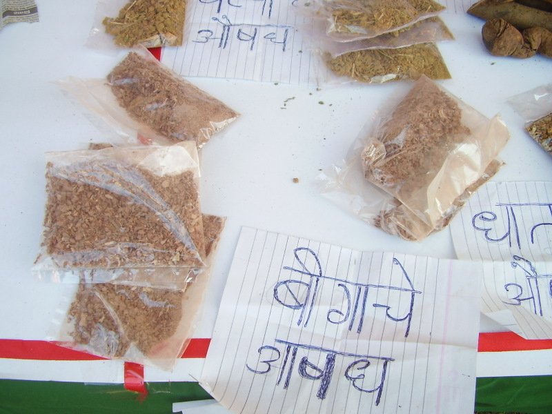 Clear bags of dried shredded herbs beside handwritten Devanagari remedy labels