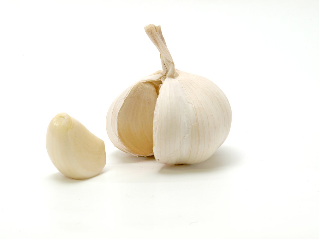 Whole garlic bulb beside a peeled clove on a plain white background