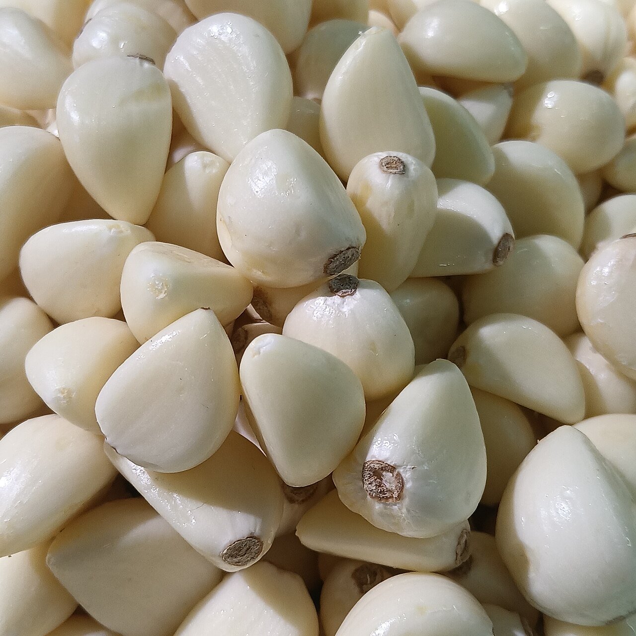 Close-up pile of freshly peeled creamy garlic cloves
